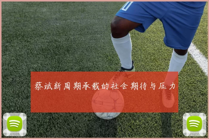 蔡斌新周期承载的社会期待与压力