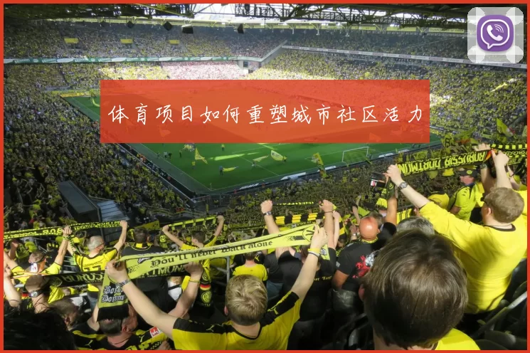 体育项目如何重塑城市社区活力