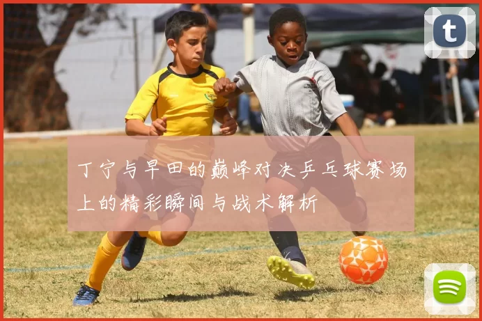 丁宁与早田的巅峰对决乒乓球赛场上的精彩瞬间与战术解析