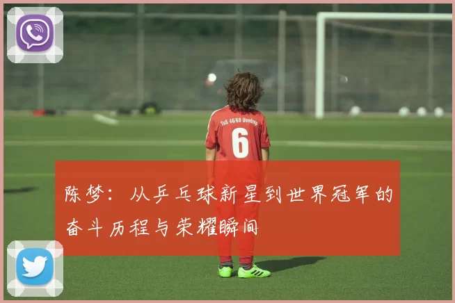 陈梦：从乒乓球新星到世界冠军的奋斗历程与荣耀瞬间